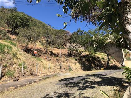  LOTE