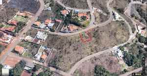 Lote