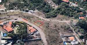 Lote