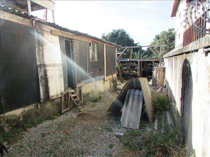 LOTE 