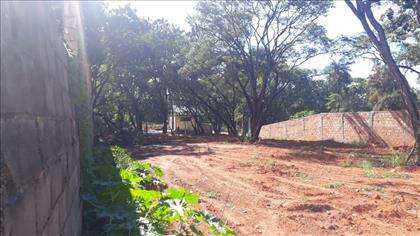 Lote Área limpa