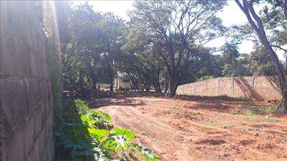 Lote Área limpa