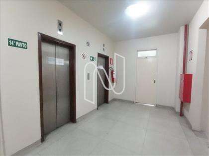 Elevadores de Acesso