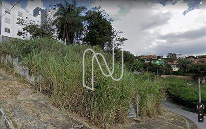  Lote 