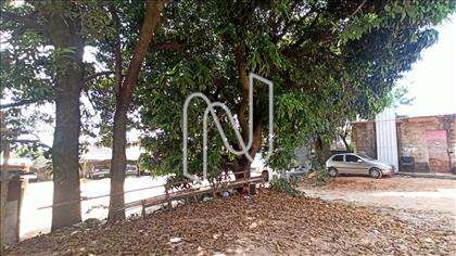 Interior do Lote  