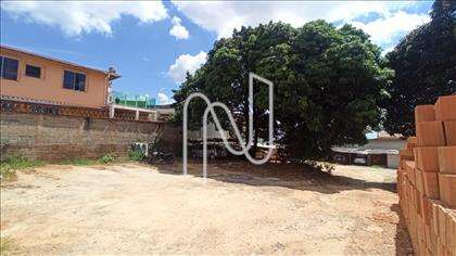 Interior do Lote  