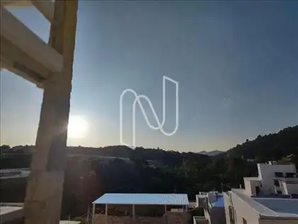  Vista