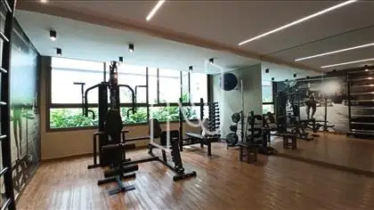 Academia 