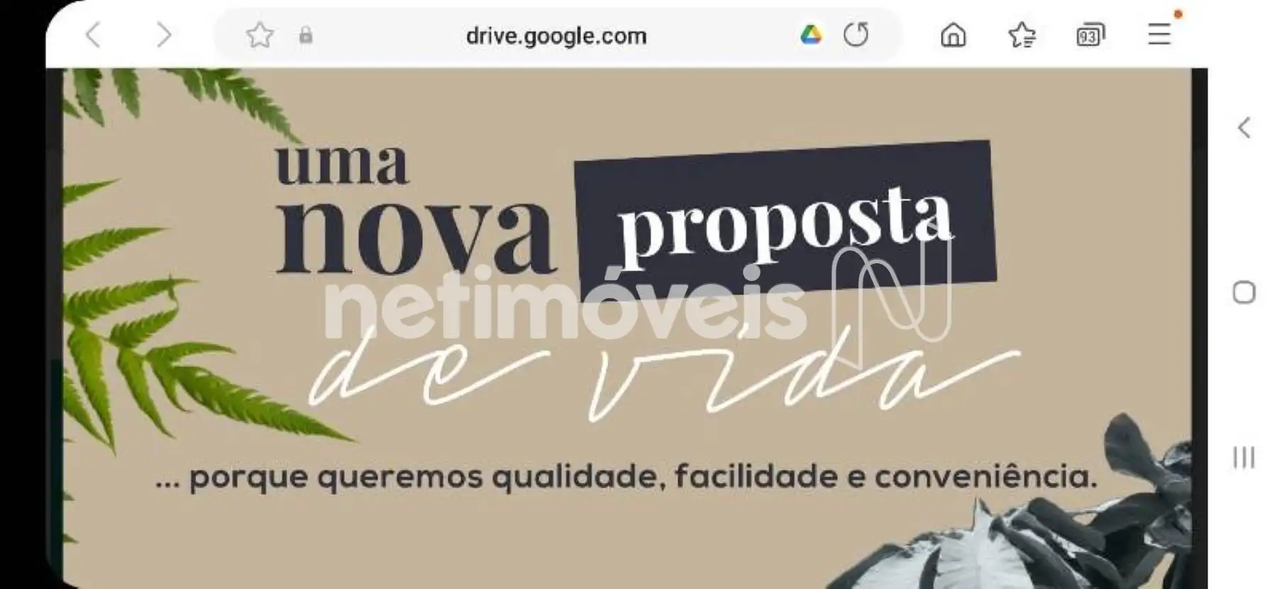 Material de divulgação