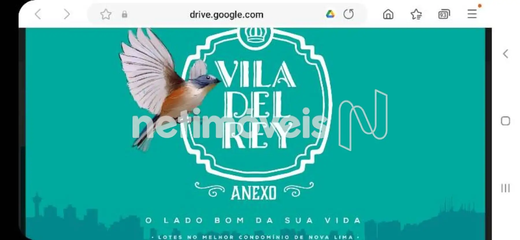 Material de divulgação
