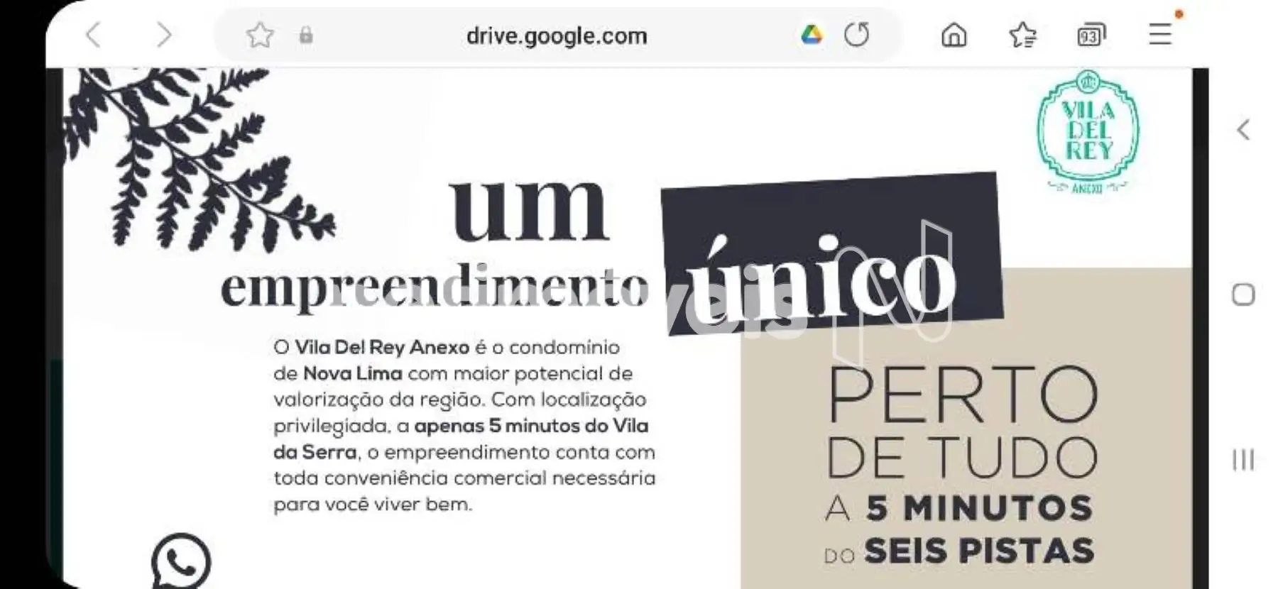 Material de divulgação