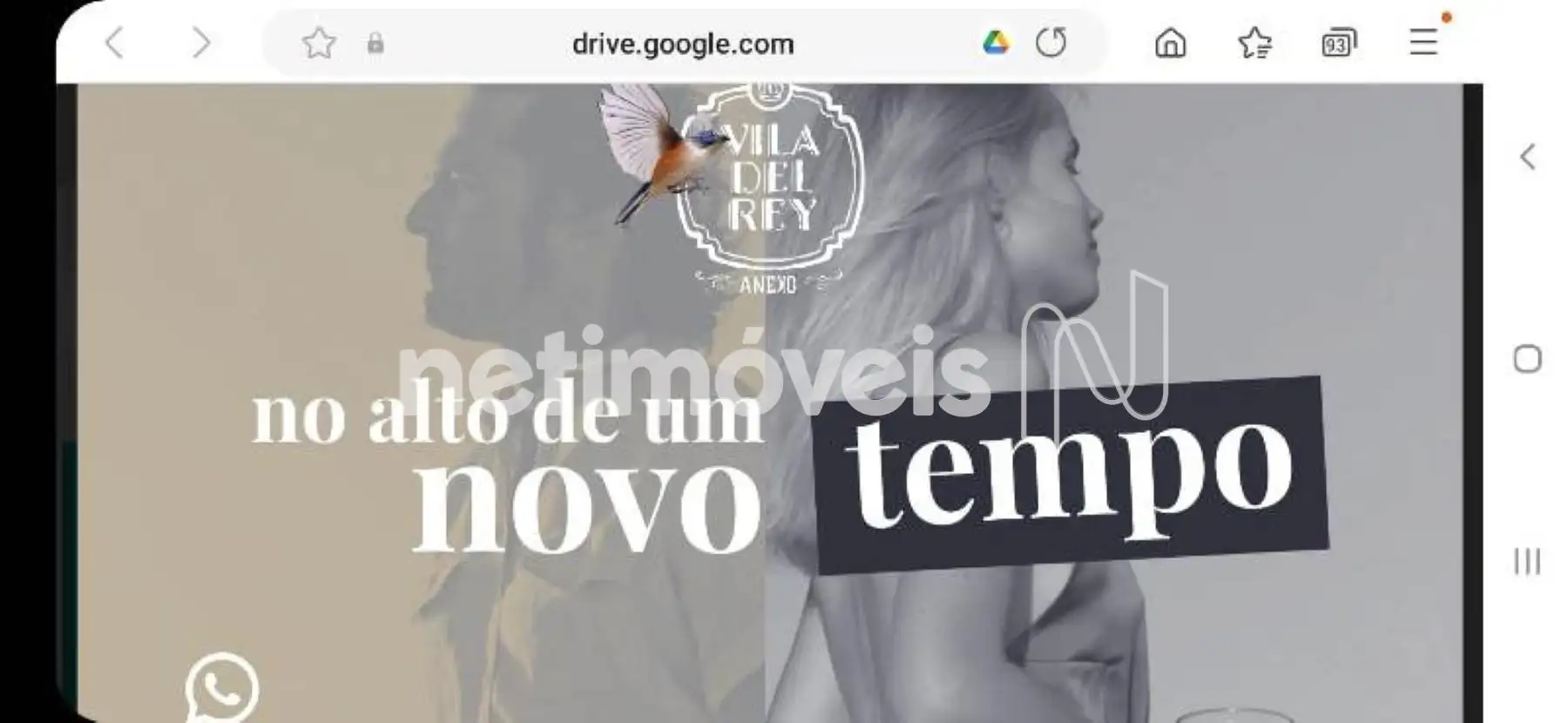 Material de divulgação