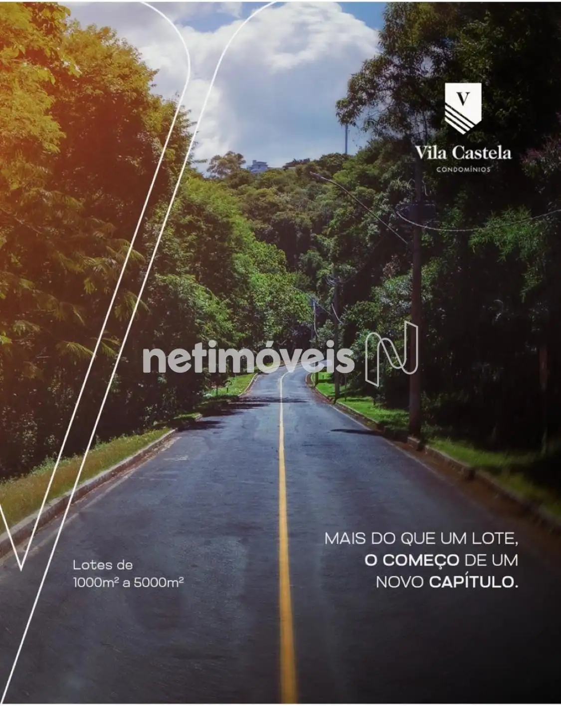 Paisagismo