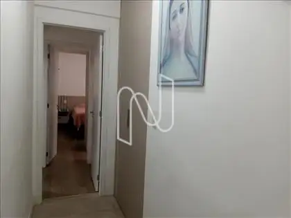 Circulação