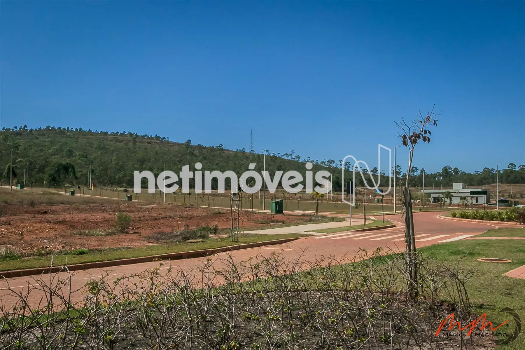 Parte interna Reserva Laguna