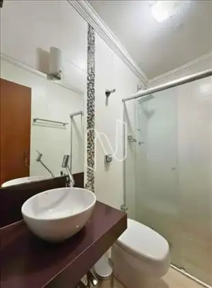 Suíte