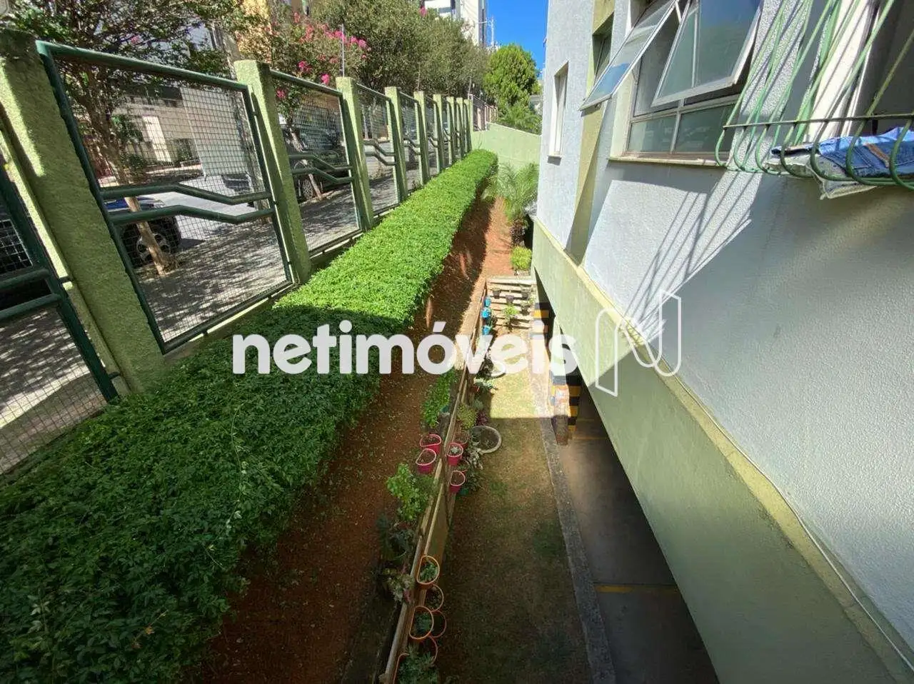 Jardim