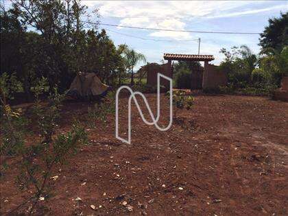 Lote