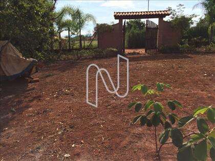 Lote