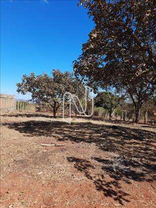 Lote