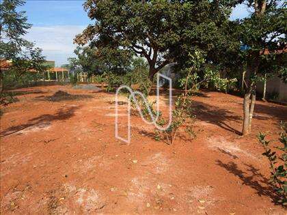 Lote