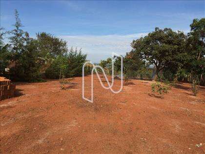 Lote