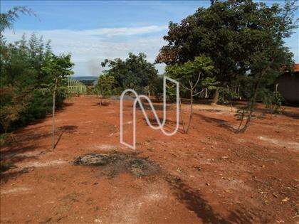 Lote