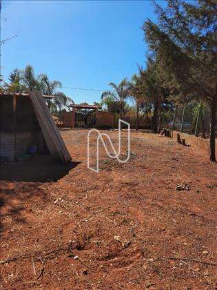 Lote