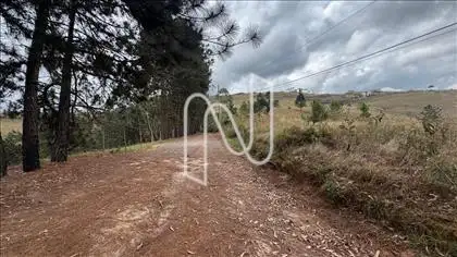 Thumb foto imóvel