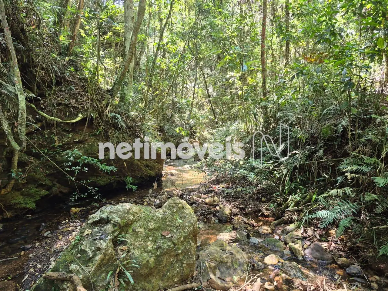 Riacho fundo do lote