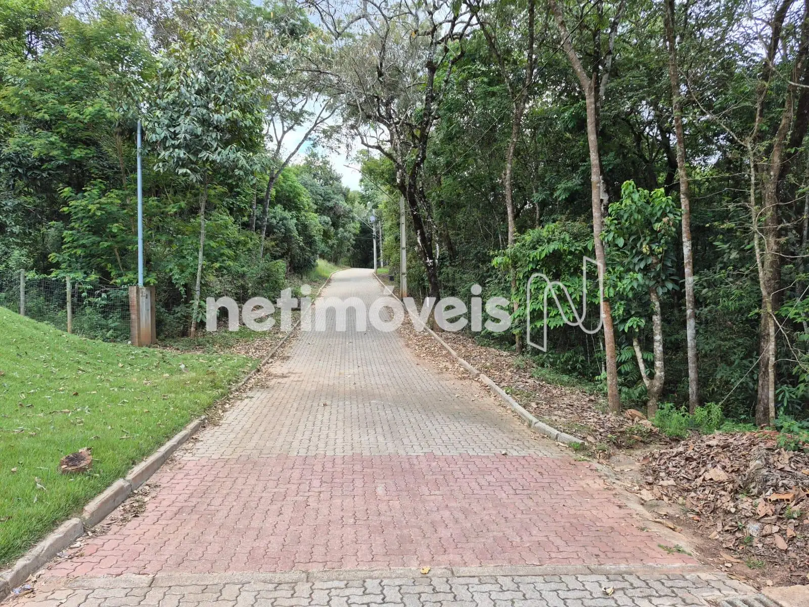 Localização do lotena Alameda das Flores