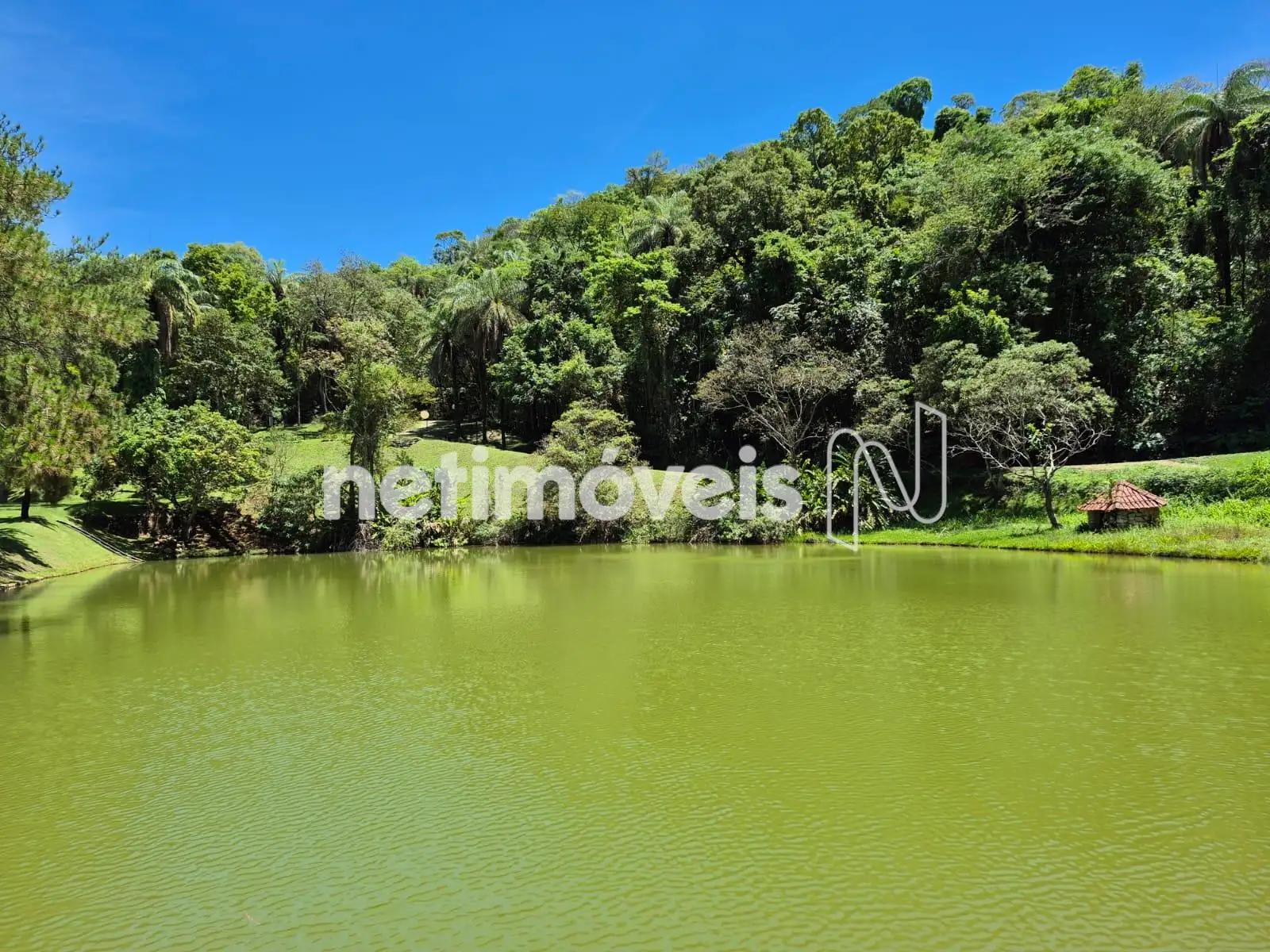 Lago 1