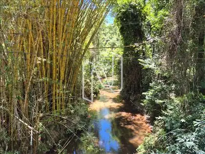 Riacho 