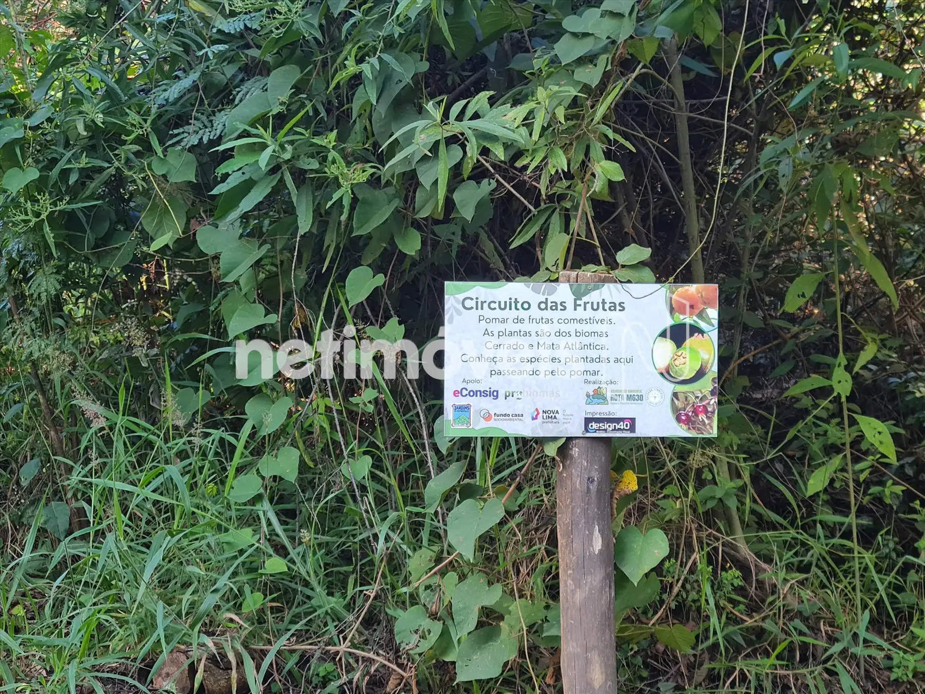 Área comum do Jardim de Petrópolis