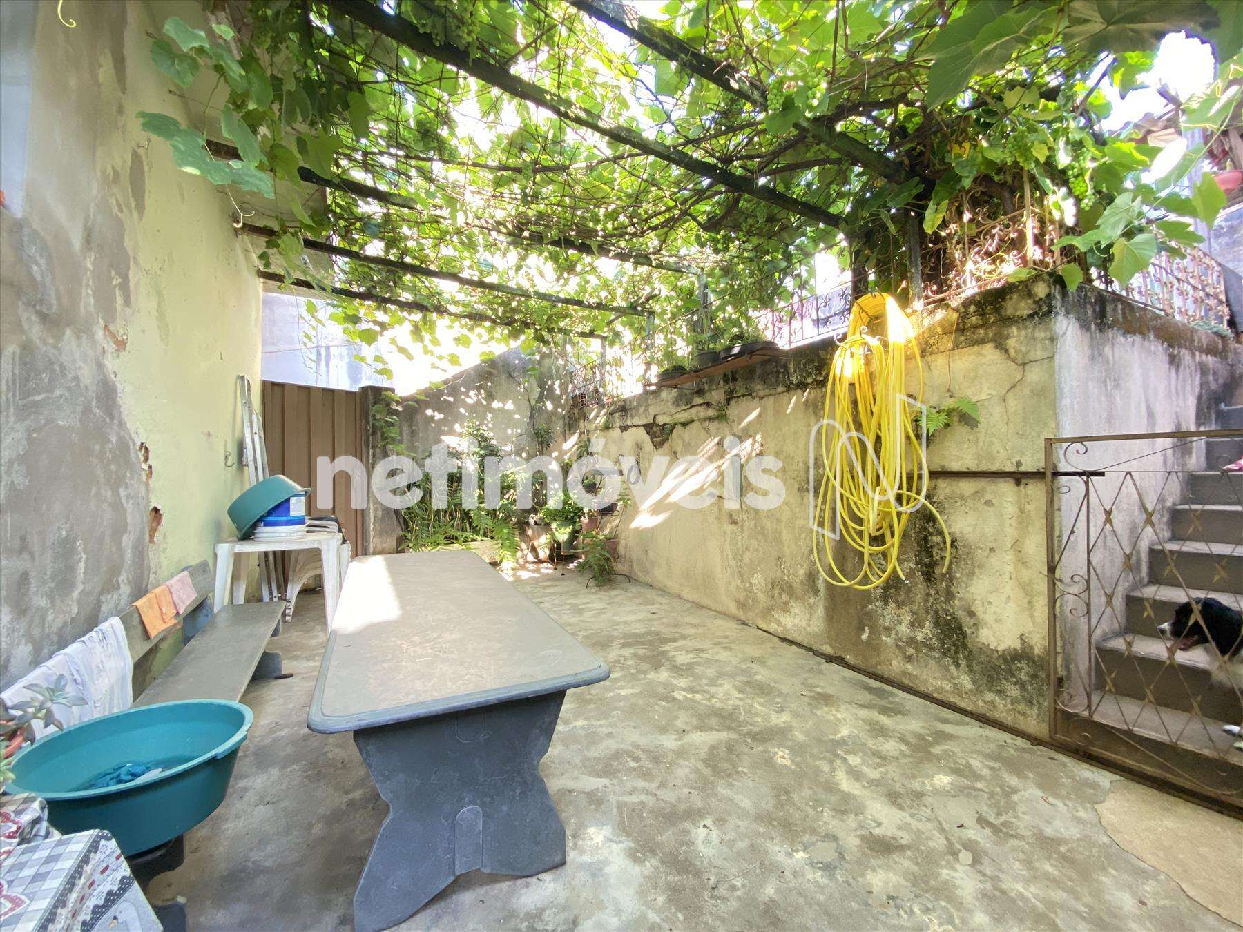 Área externa lavaderia da casa