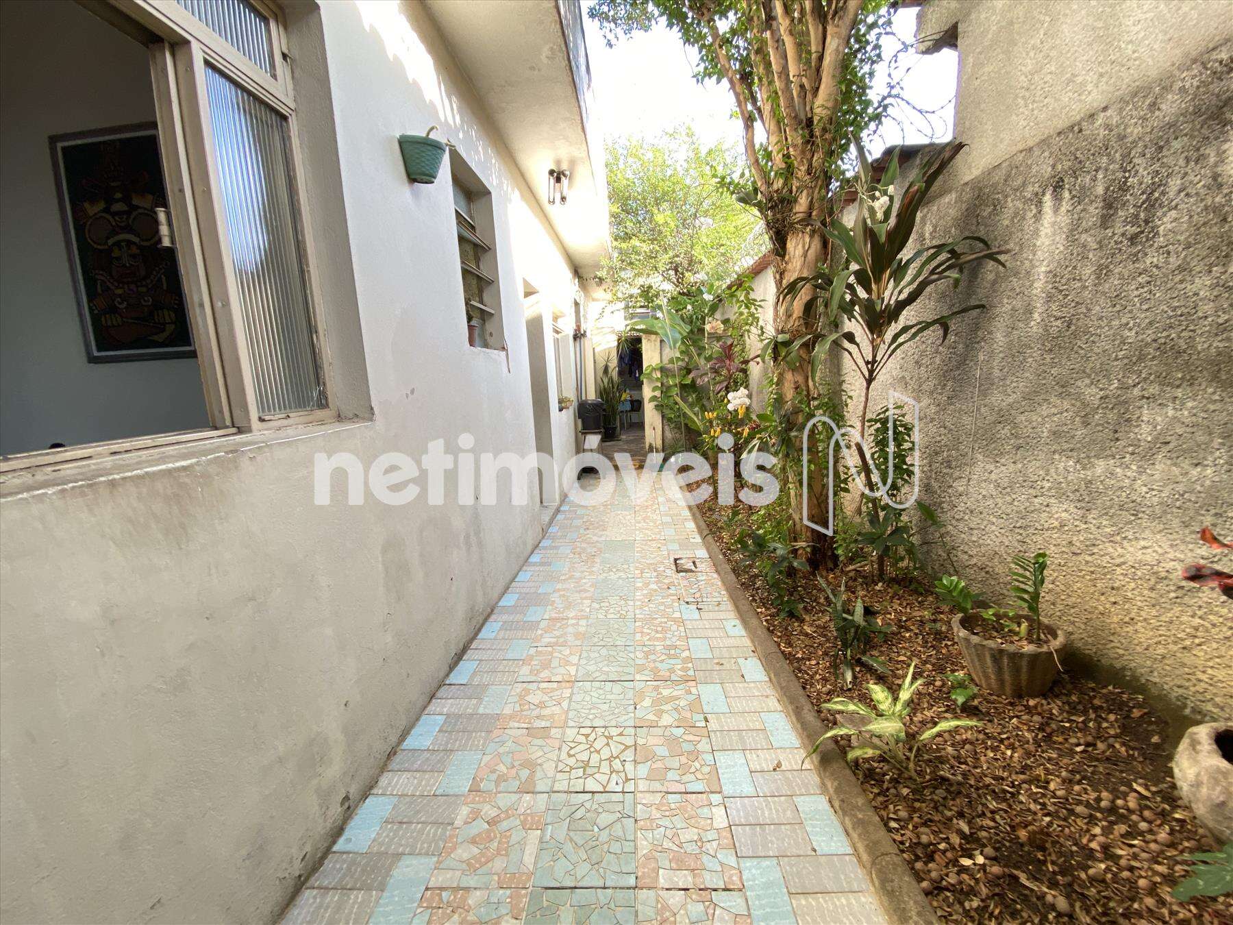Área externa lateral da casa