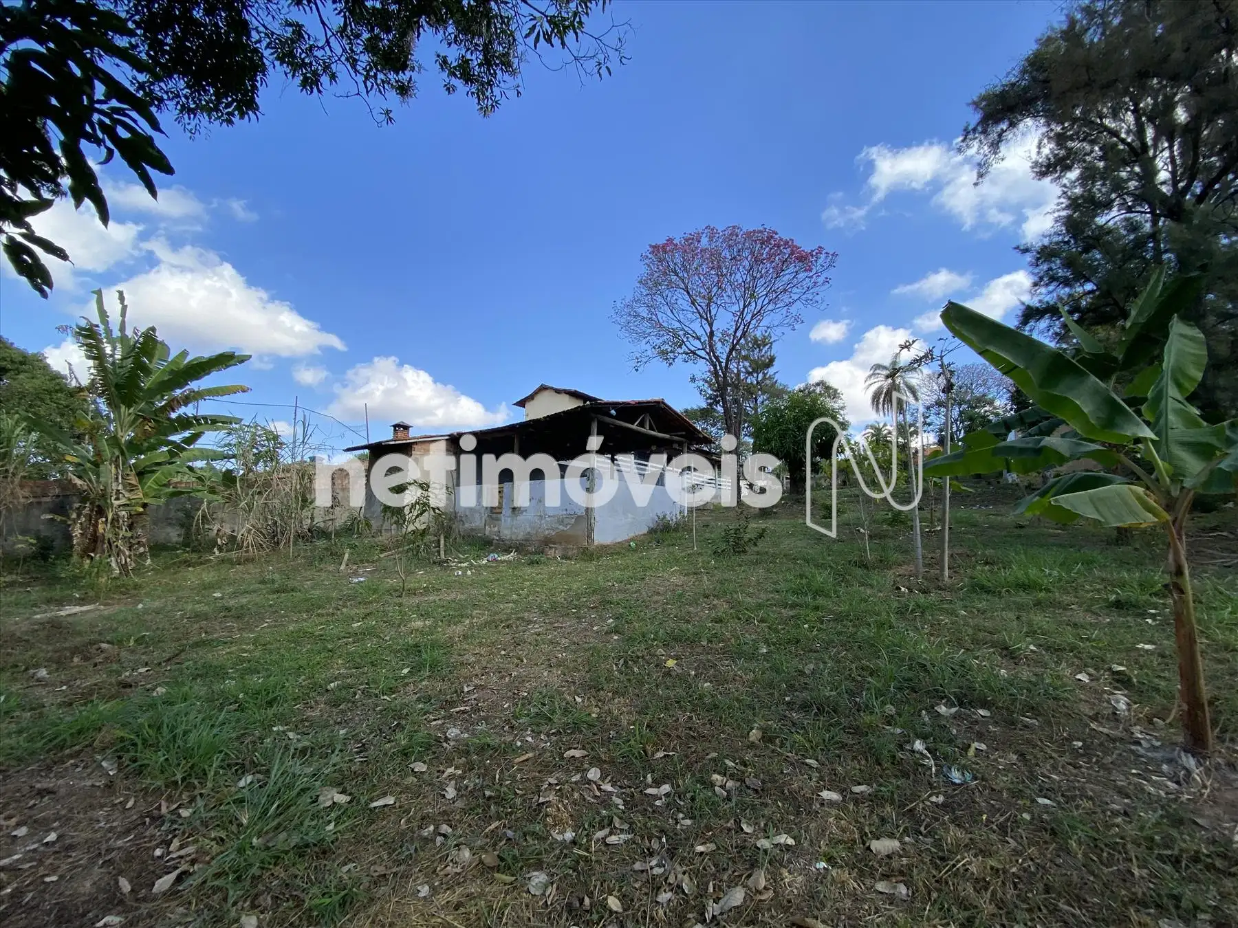 Área externa fund. vista para cima