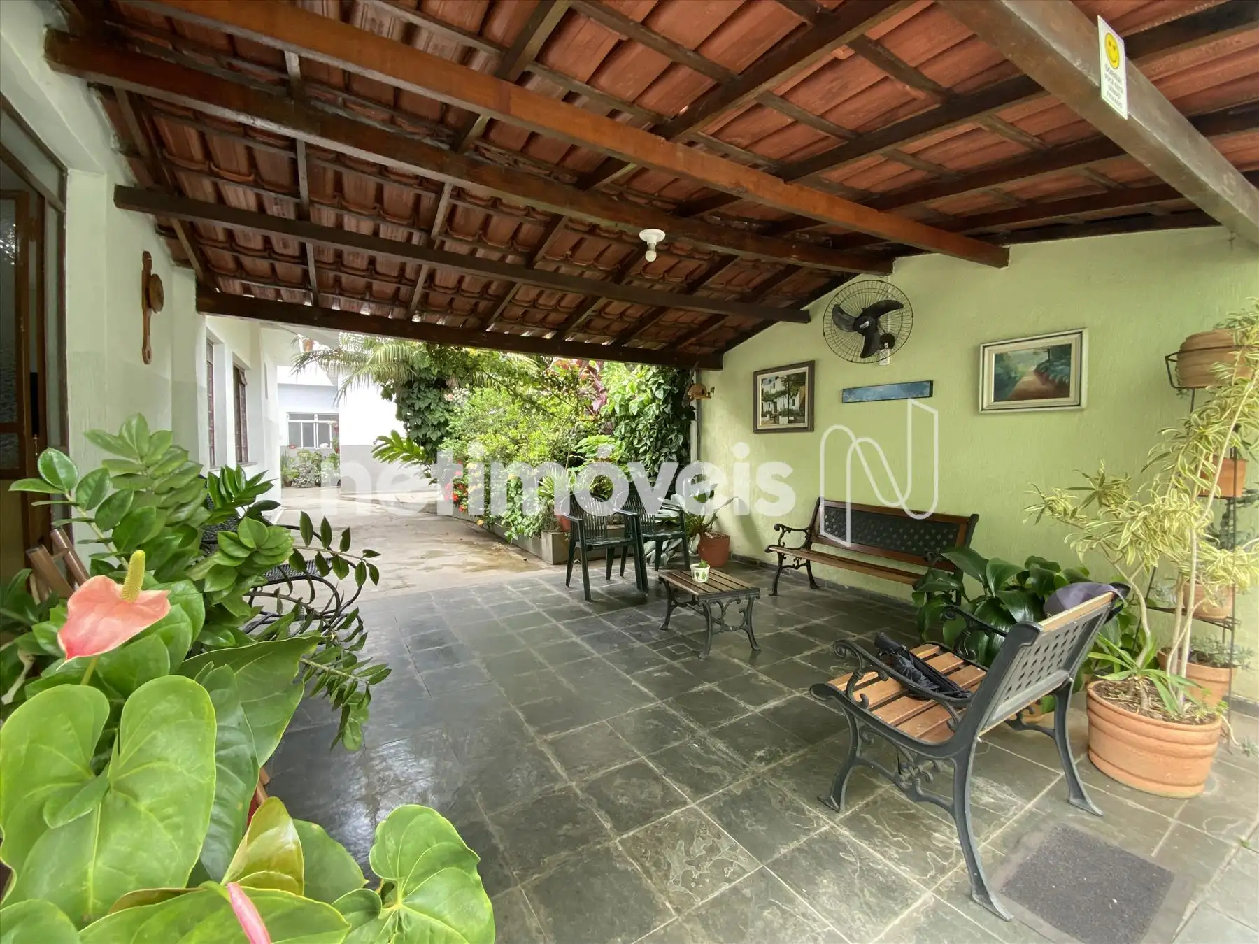 Quintal/Garagem das casas