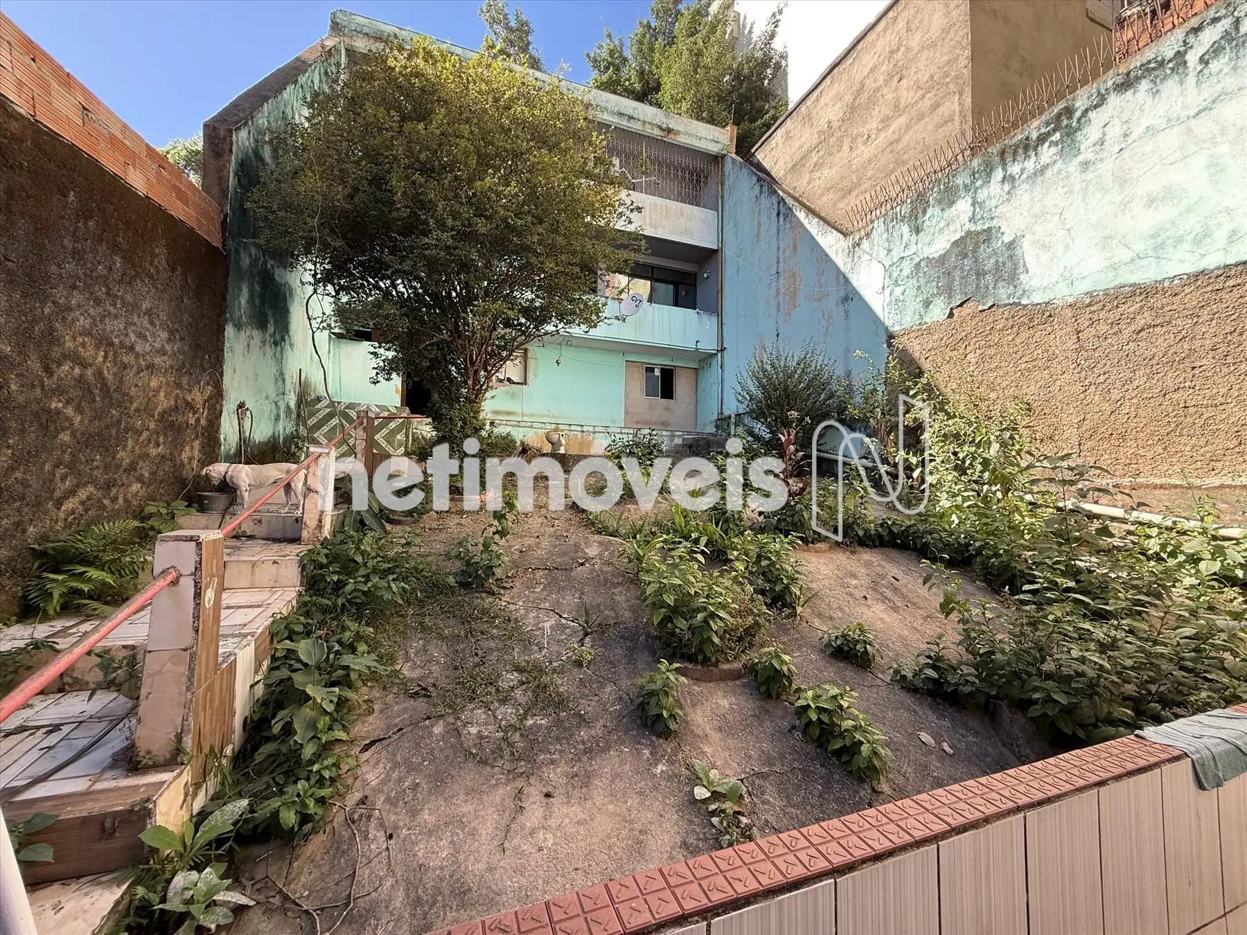 Lote (vista para casa da frente)