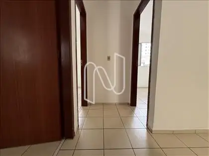 Circulação