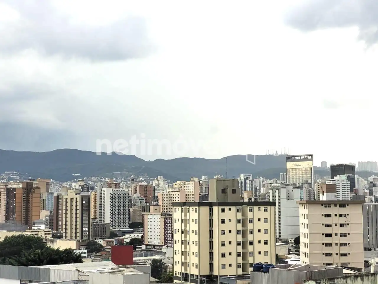 Vista
