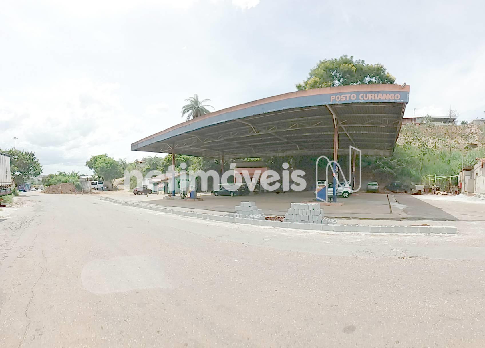 Frente - parcial esquerda