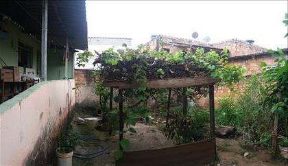 Quintal