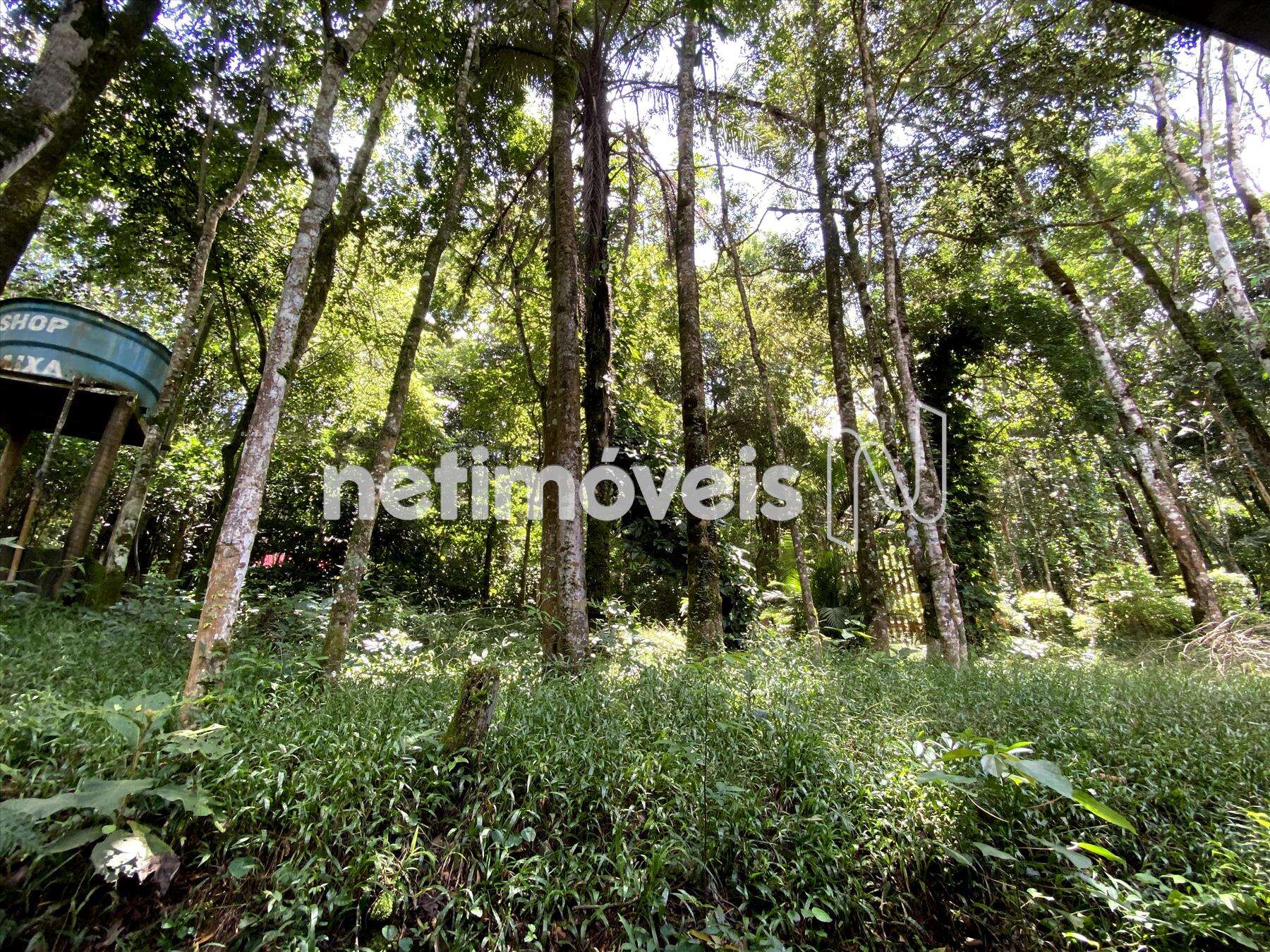 Vista do segundo quarto