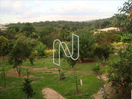  Horta + pomar - B