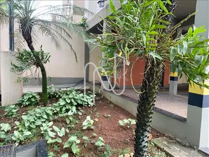 Jardim 
