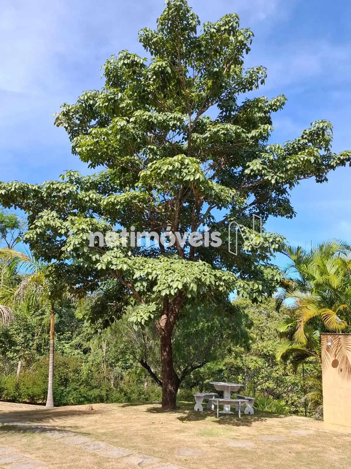 Área verde