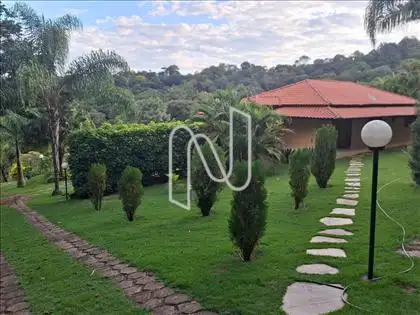 Jardim 