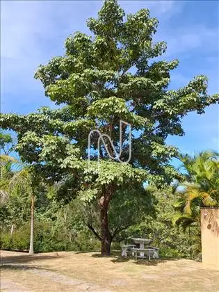 Área verde 
