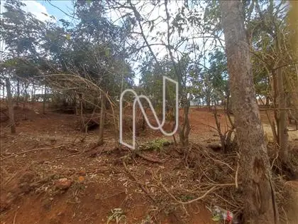 Thumb foto imóvel